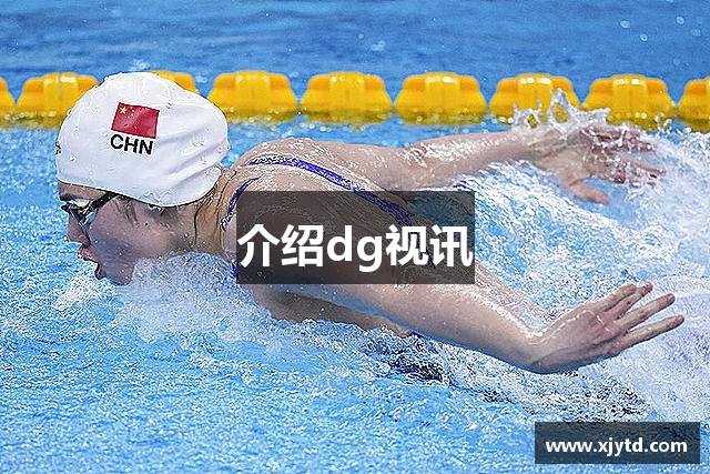 介绍dg视讯
